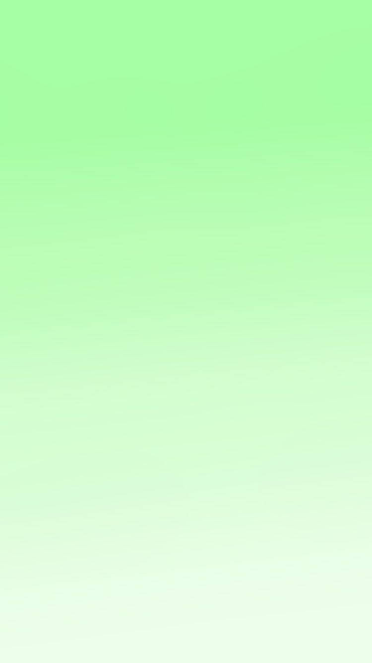 Gradiente Estético Verde Claro y Blanco Fondos de pantalla