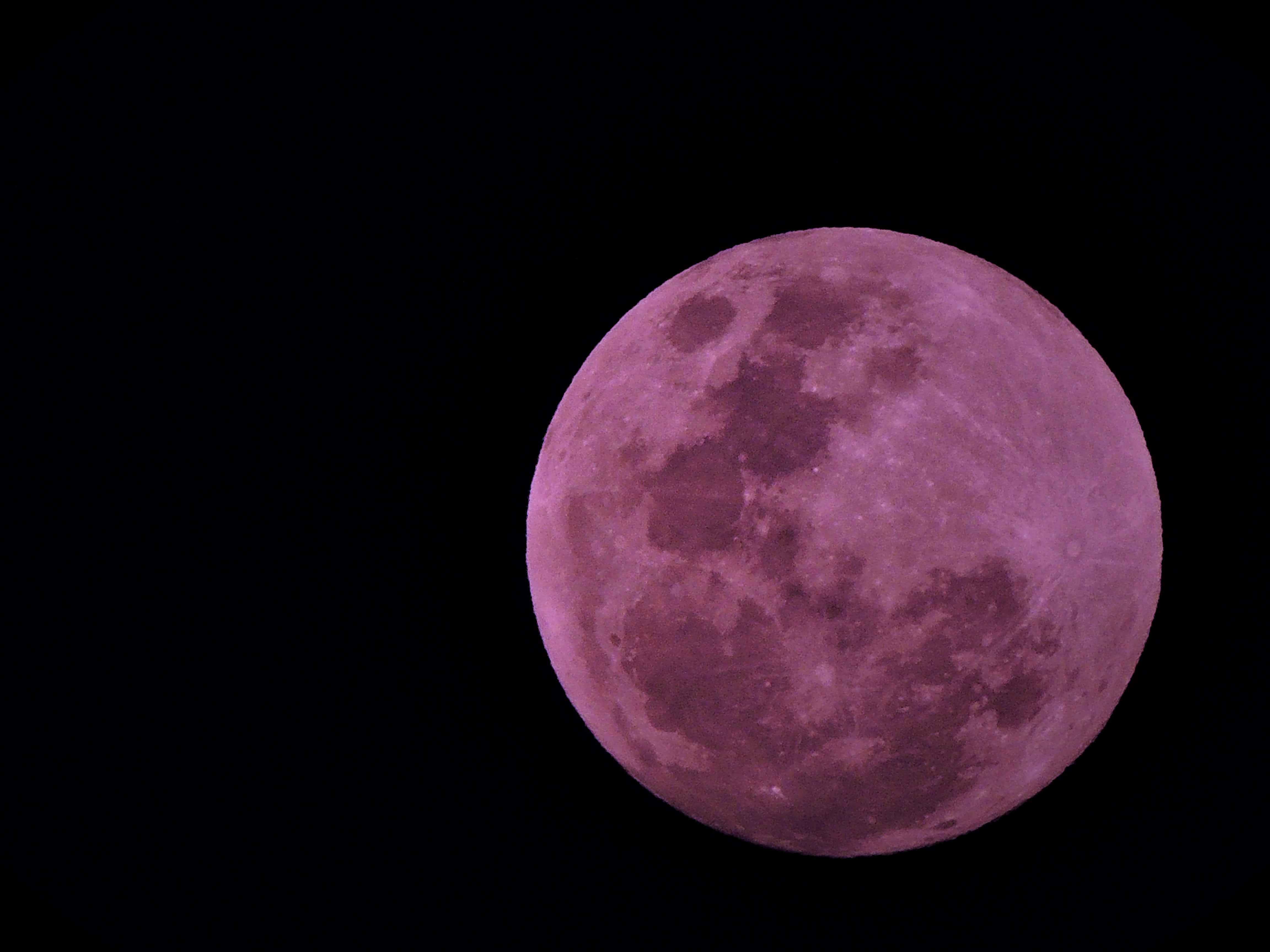 Gran luna rosa en cielo oscuro Fondos de pantalla