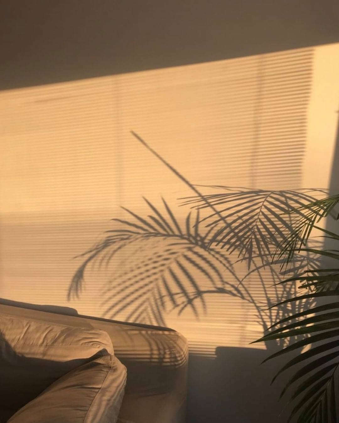 Habitación estética en marrón claro con sombras Fondos de pantalla