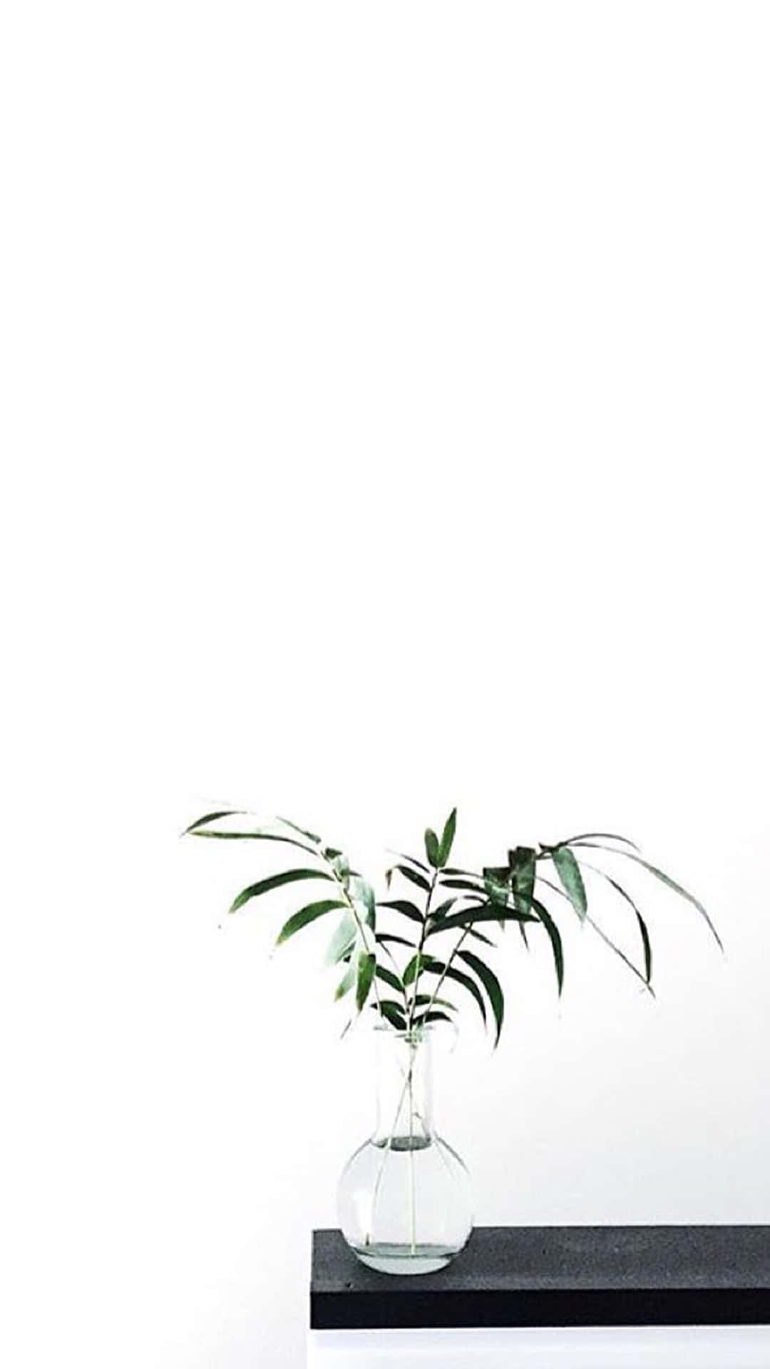 Haciéndole saber al mundo que Aesthetic White puede mantenerte con un estilo impecable. Fondos de pantalla