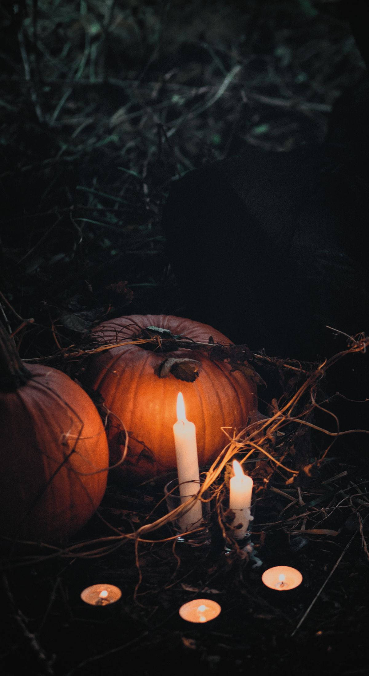 Halloween de Calabaza y Vela para iPhone Fondos de pantalla