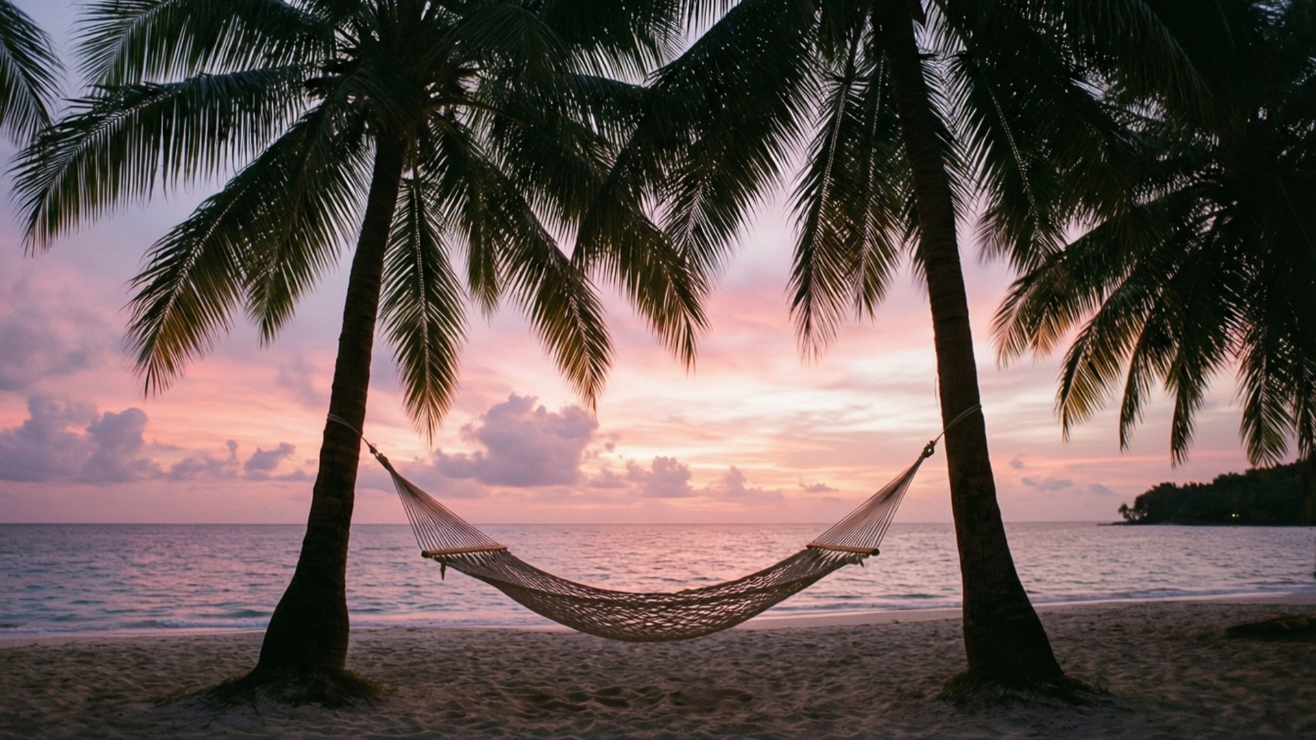 Hamaca en Palmera al Atardecer Fondos de pantalla