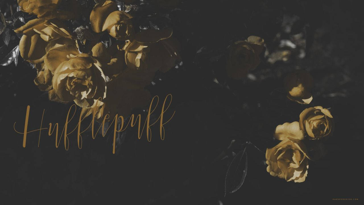 Harry Potter Estético Hufflepuff Fondos de pantalla