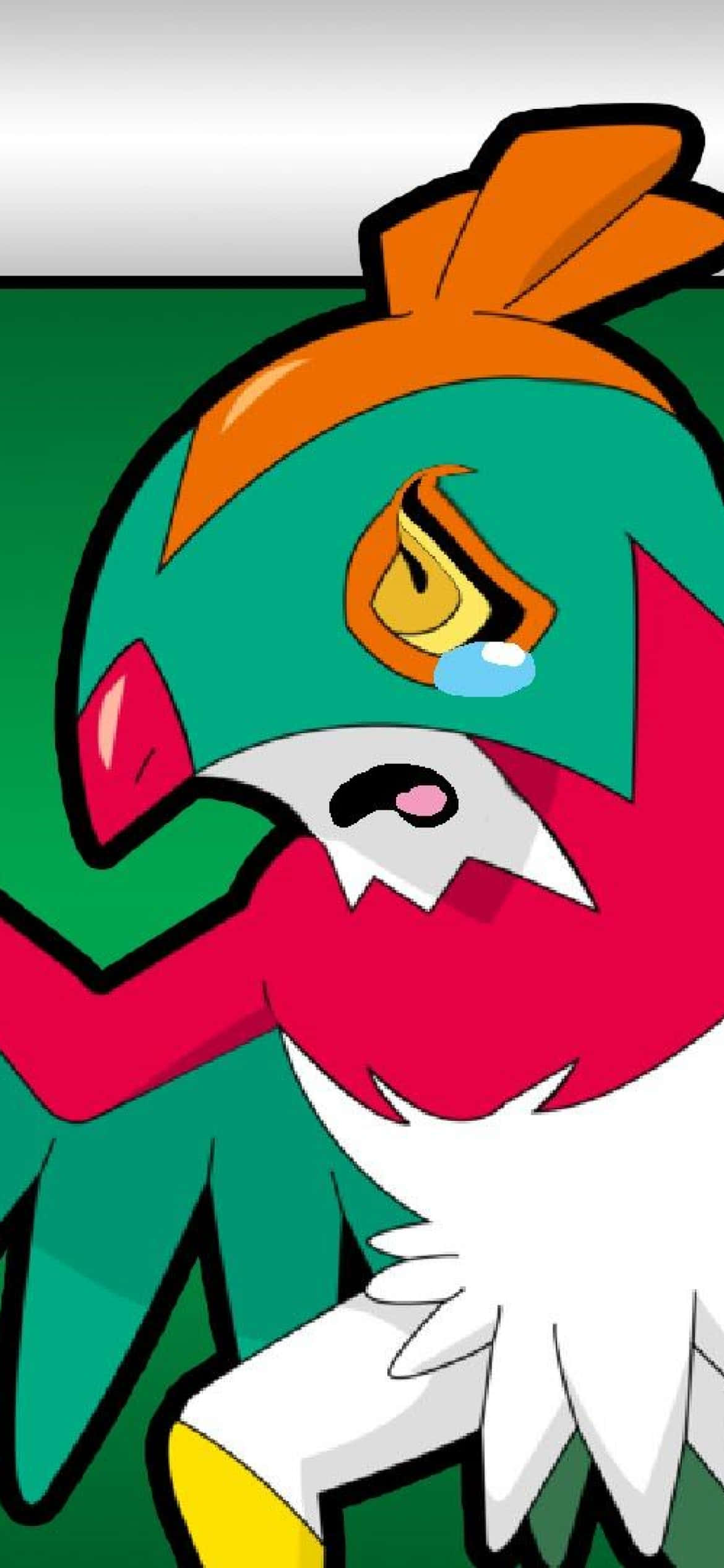 Hawlucha Llora en Teléfono Fondos de pantalla