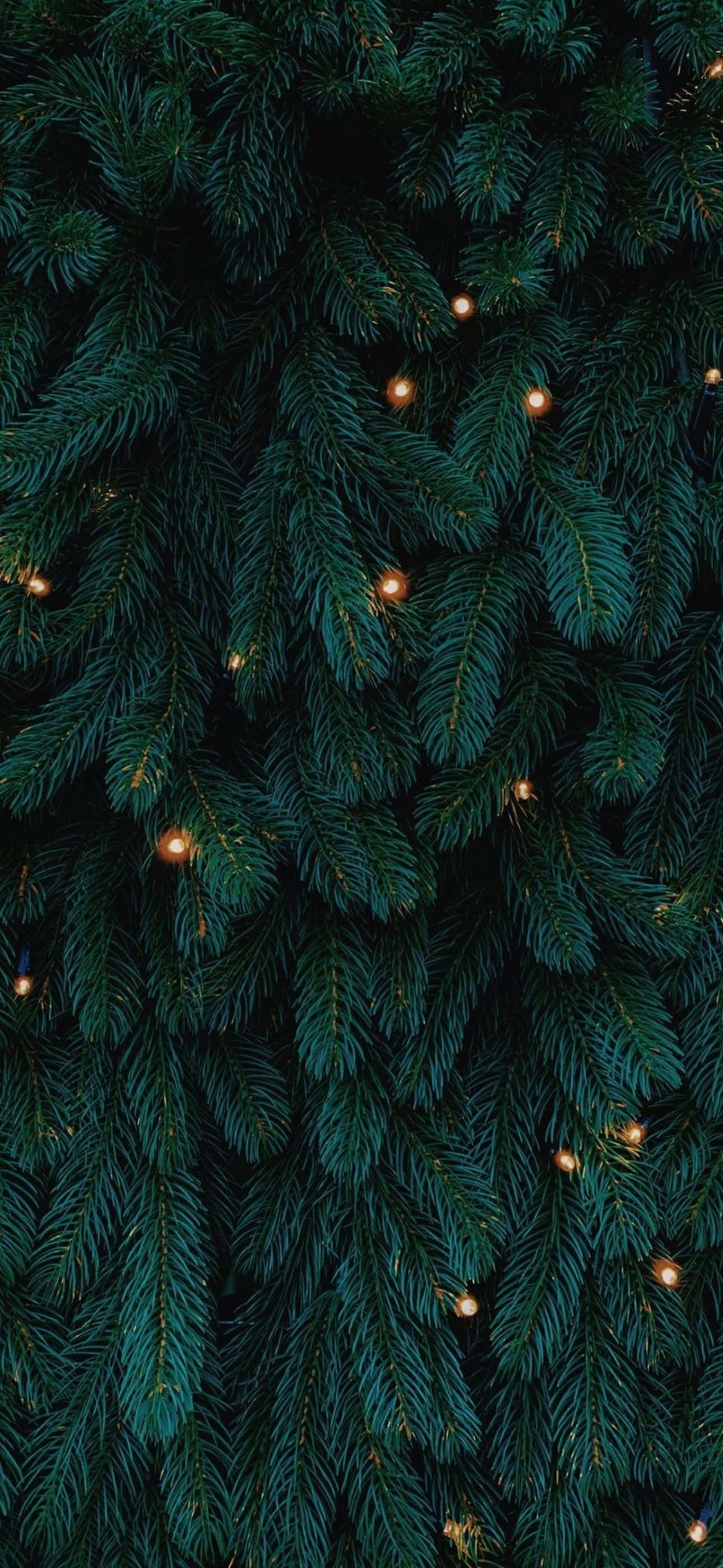 ¡Haz que tu iPhone luzca festivo esta Navidad! Fondos de pantalla