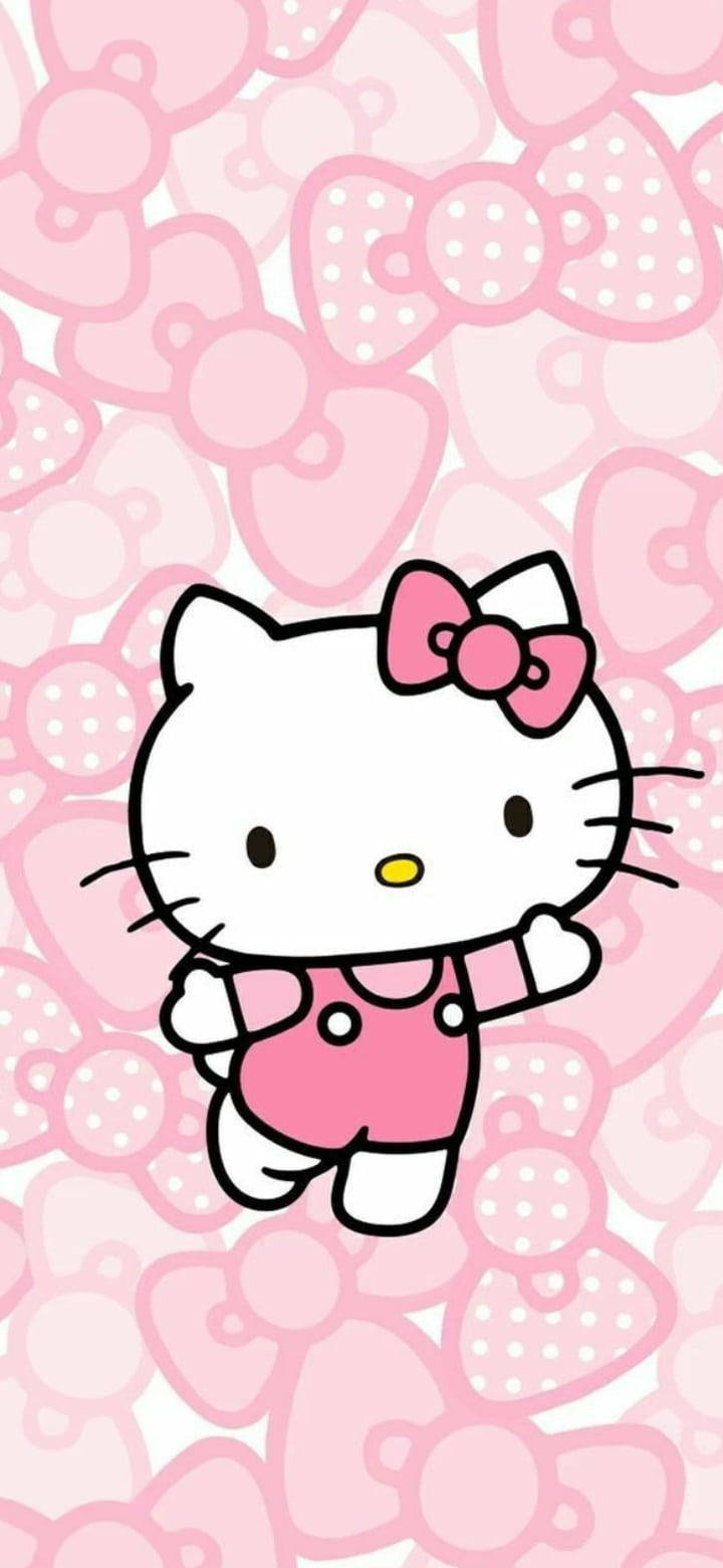 Hello Kitty rosa con distintos moños Fondos de pantalla