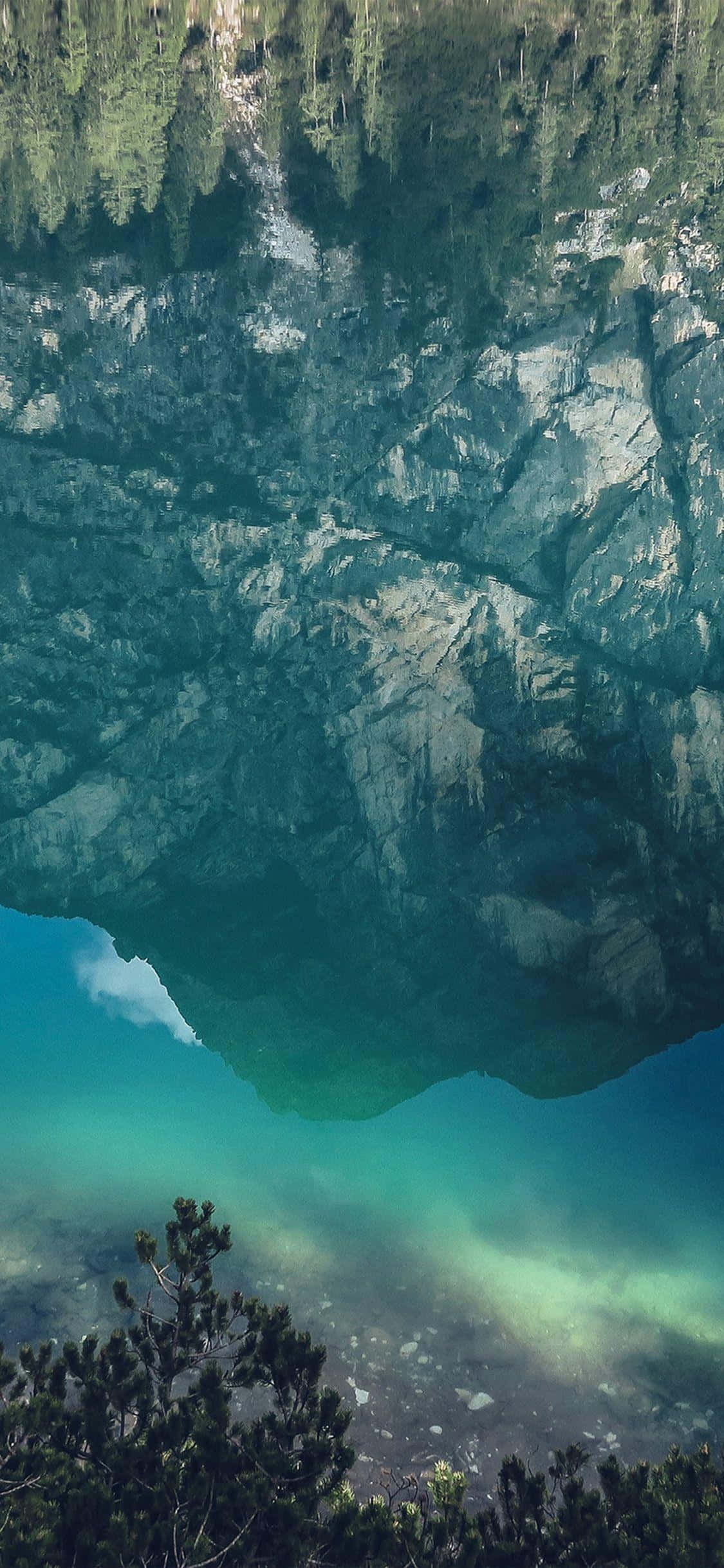 Hermosa Cascada en Bosque Prístino: Fondo Natural para iPhone X Fondos de pantalla