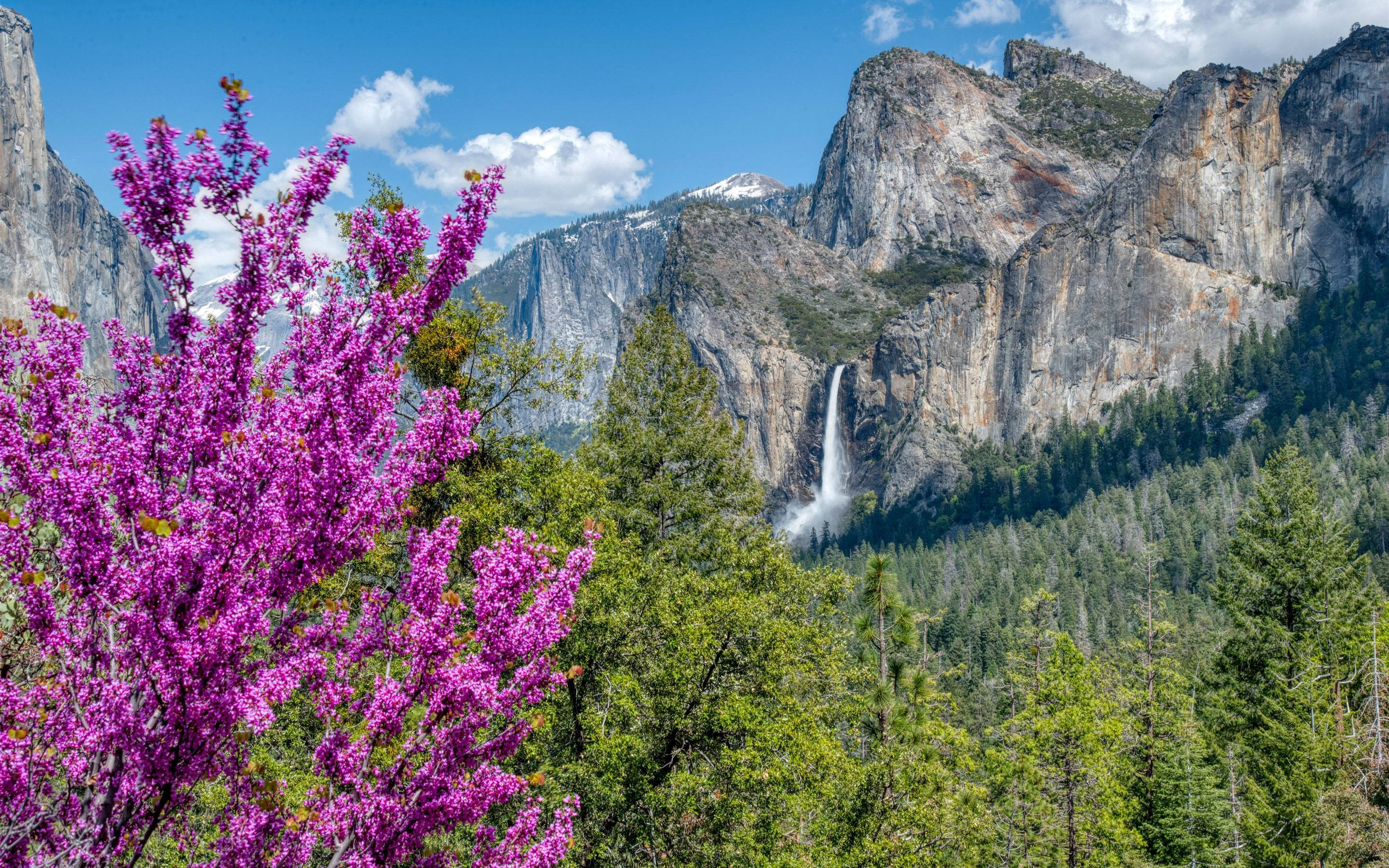 Hermosa Cascada Yosemite Fondos de pantalla