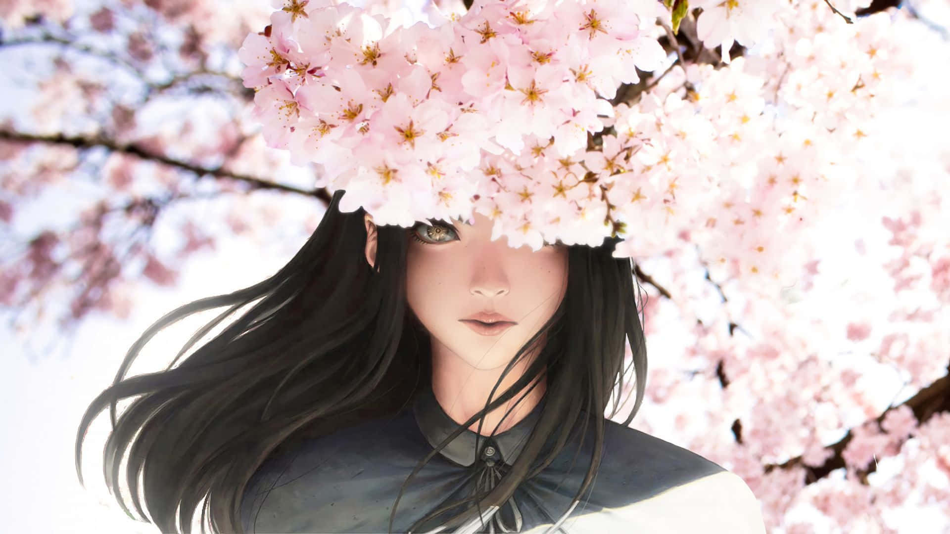 Hermosa chica de cabello negro con flores de sakura anime Fondos de pantalla