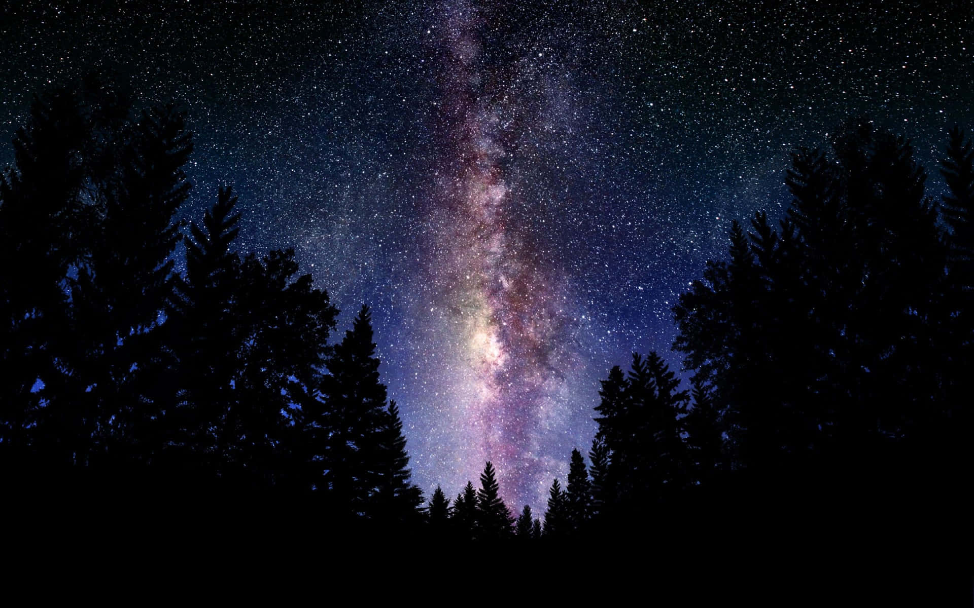 Hermosa galaxia en un bosque oscuro Fondos de pantalla