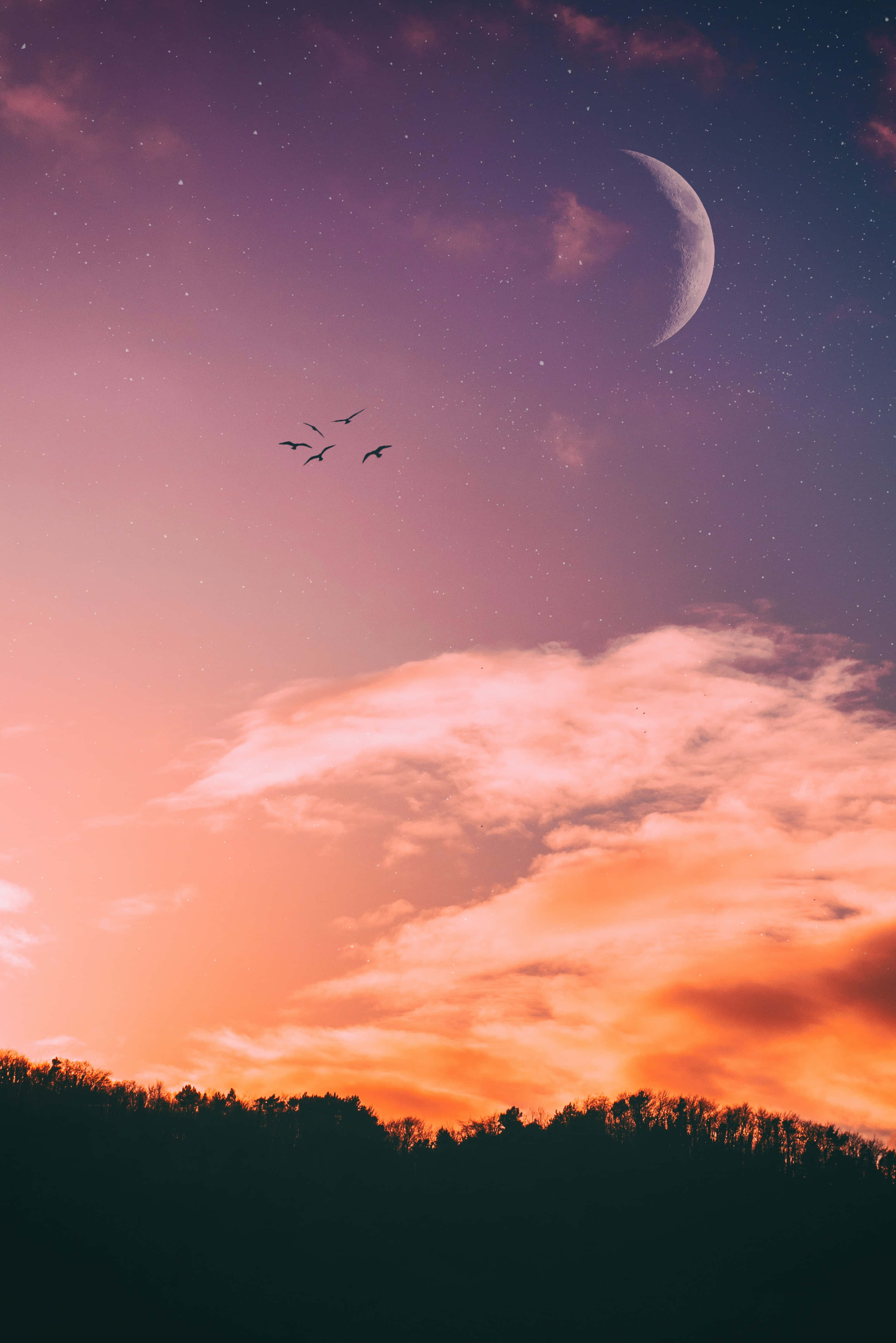 Hermosa imagen de cielo al atardecer Fondos de pantalla