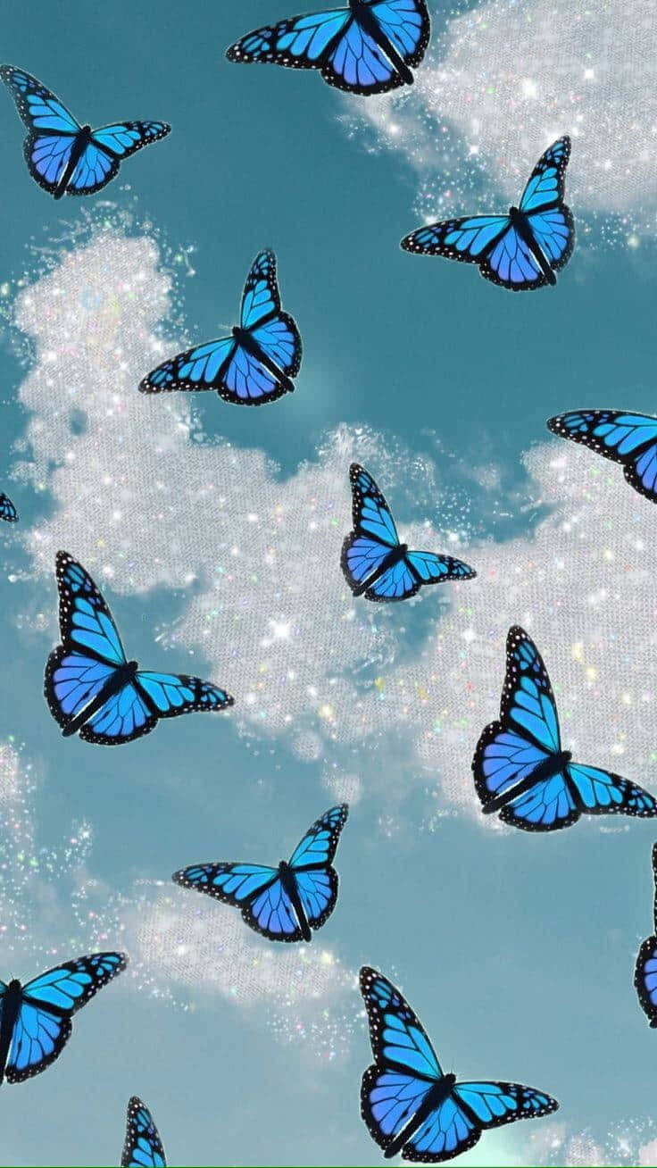 Hermosa Mariposa Multicolor Sobre Campos de Lavanda Fondos de pantalla