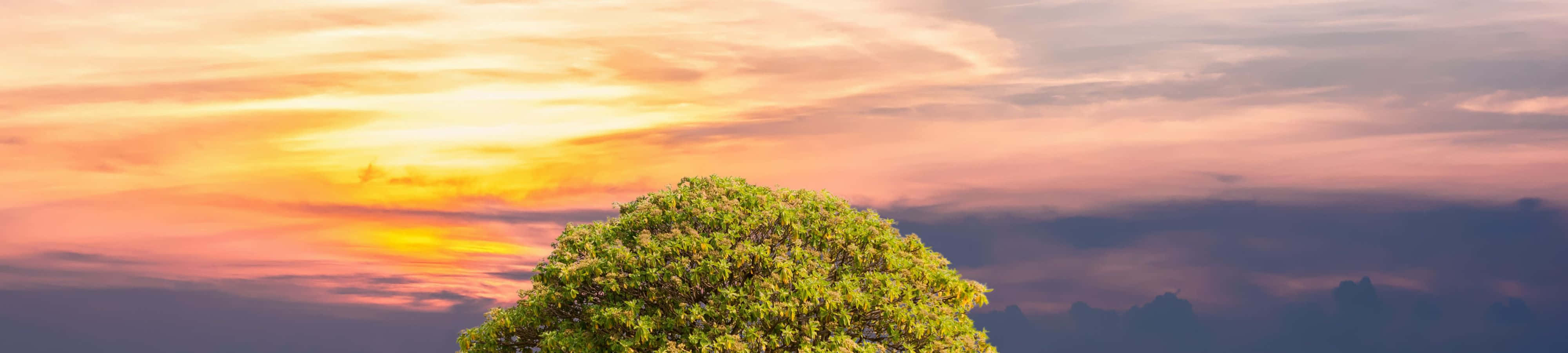 Hermosa naturaleza al atardecer Fondos de pantalla