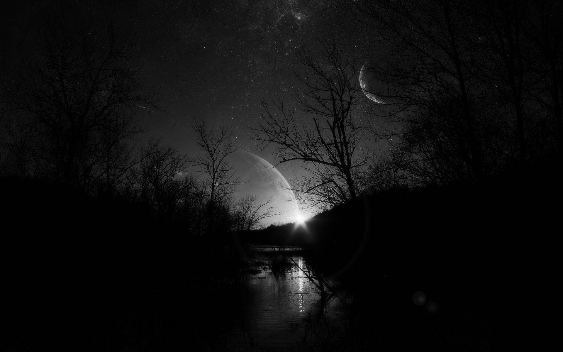 Hermosa Silueta Oscura de Pantano Fondos de pantalla