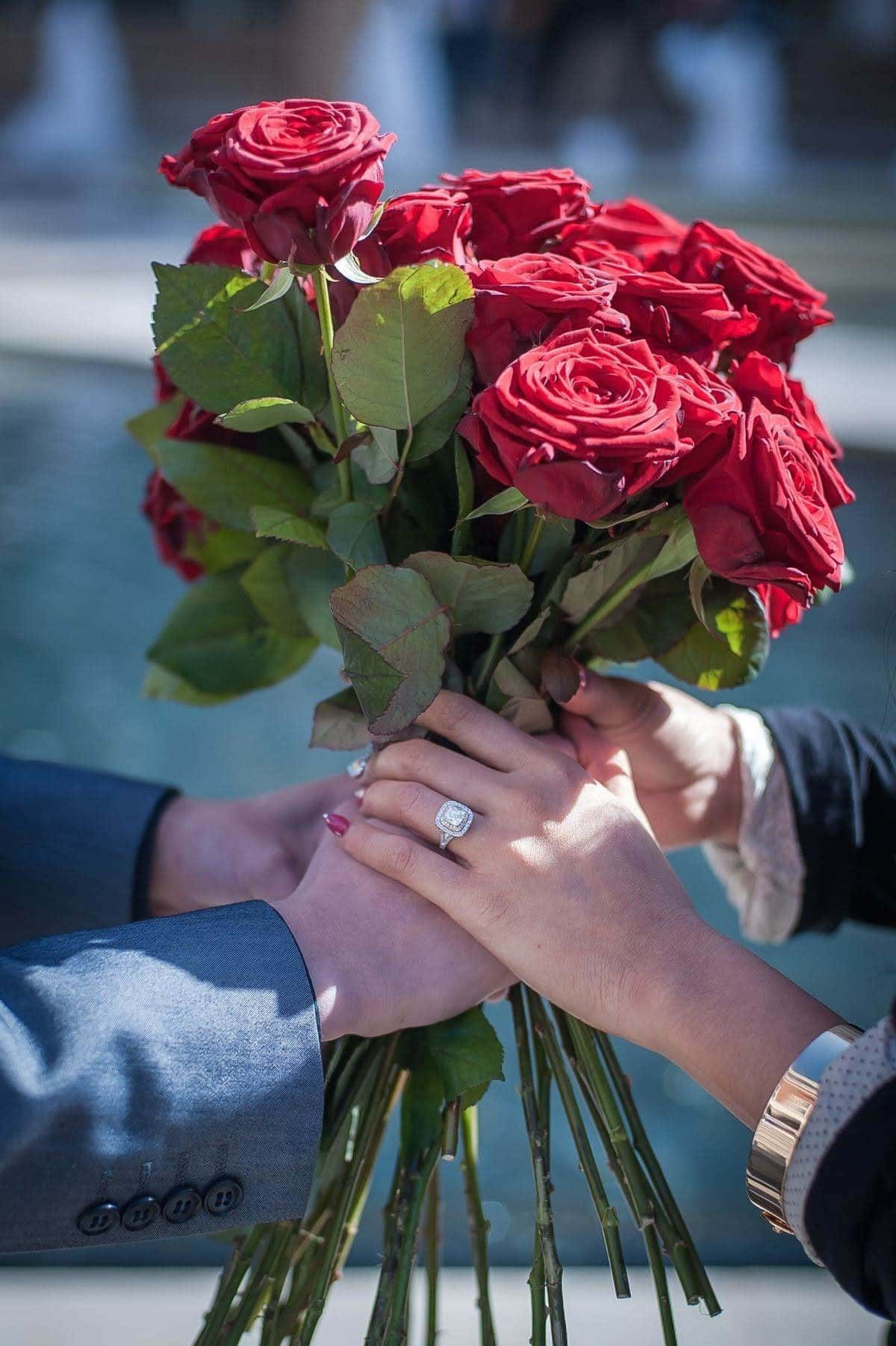 Hermosa variedad de flores del amor en plena floración Fondos de pantalla