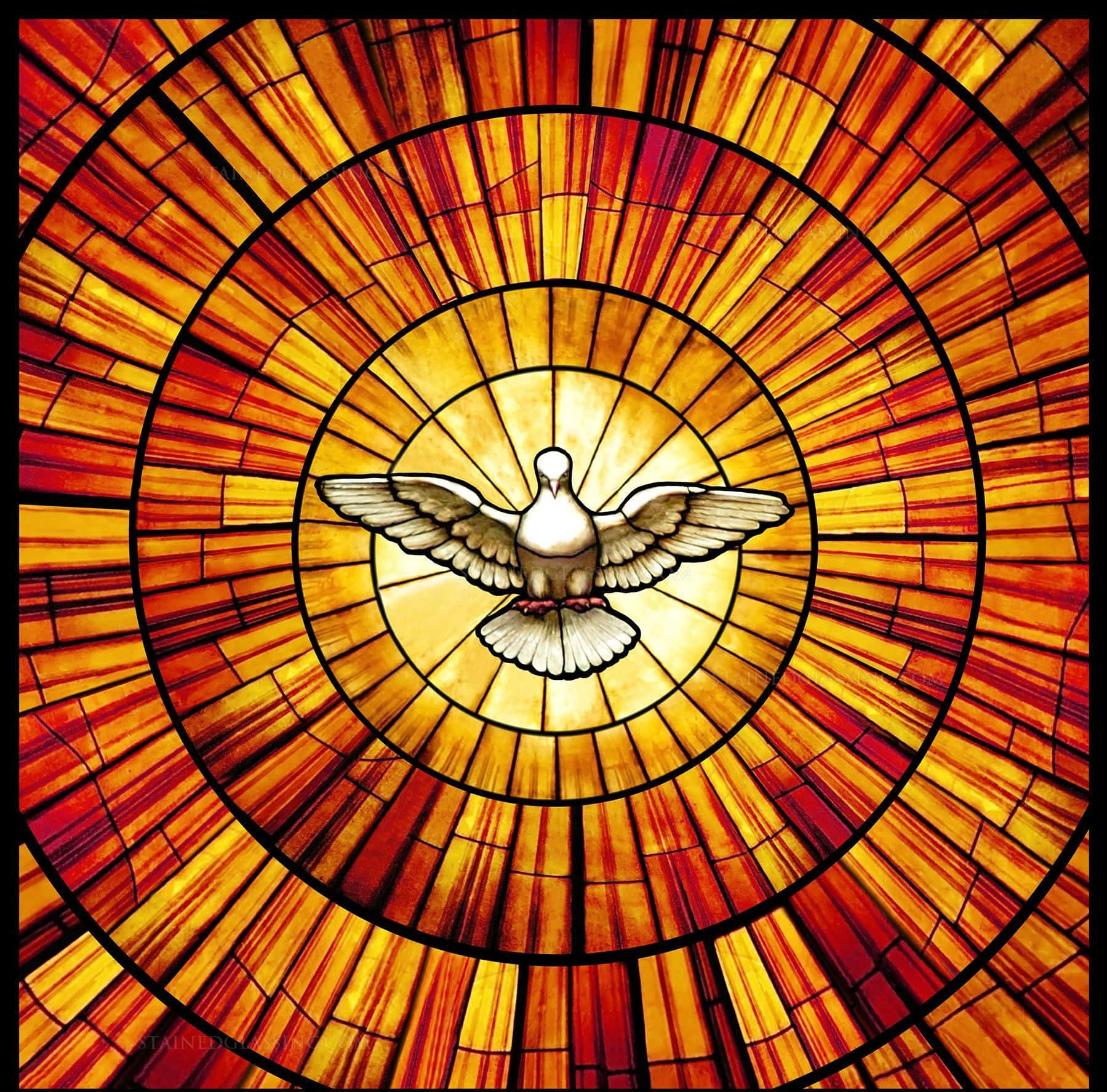Hermosa ventana de vitral Fondos de pantalla