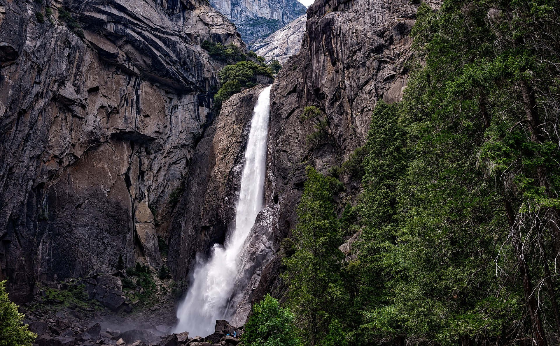 Hermosas Cataratas de Yosemite en el Bosque Fondos de pantalla
