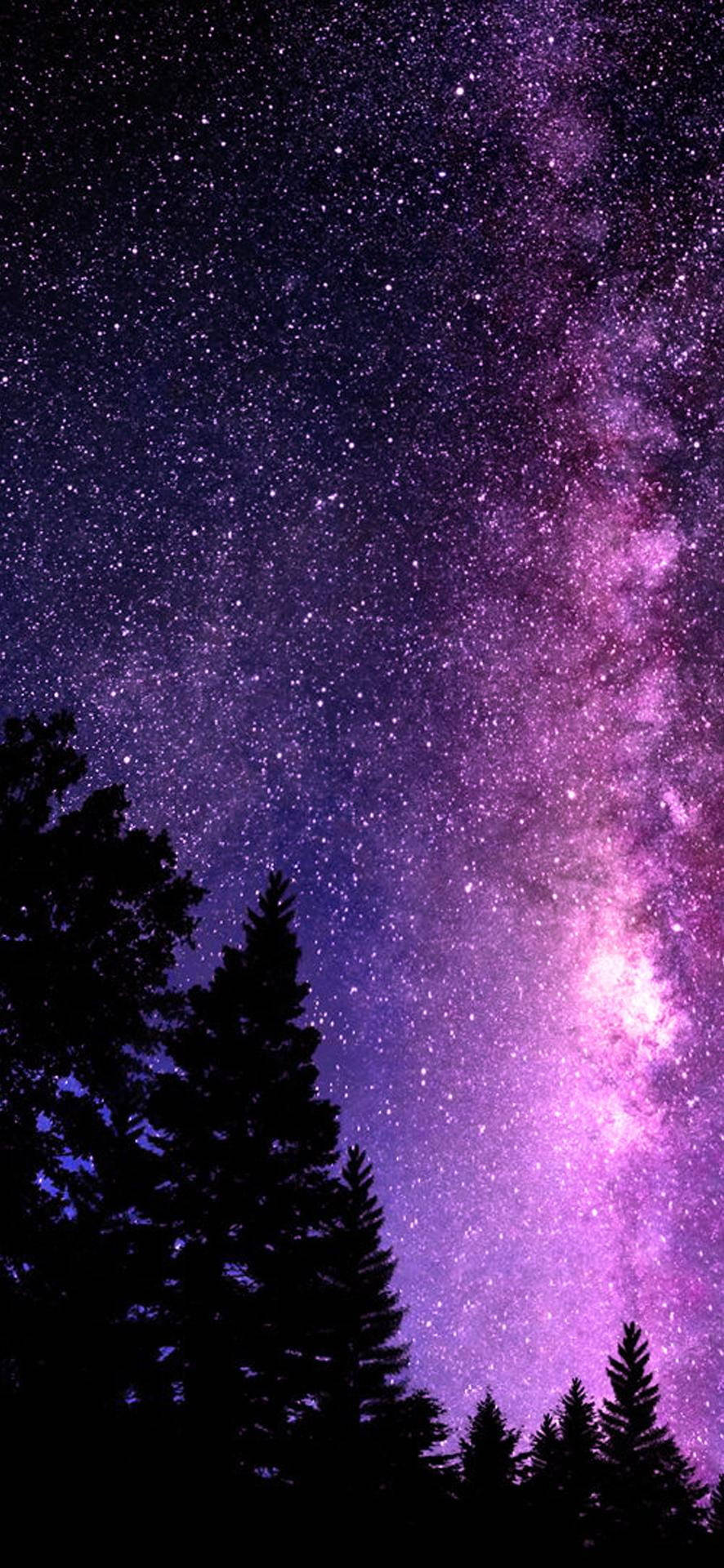 Hermosas Copas de Árboles Galaxia Fondos de pantalla