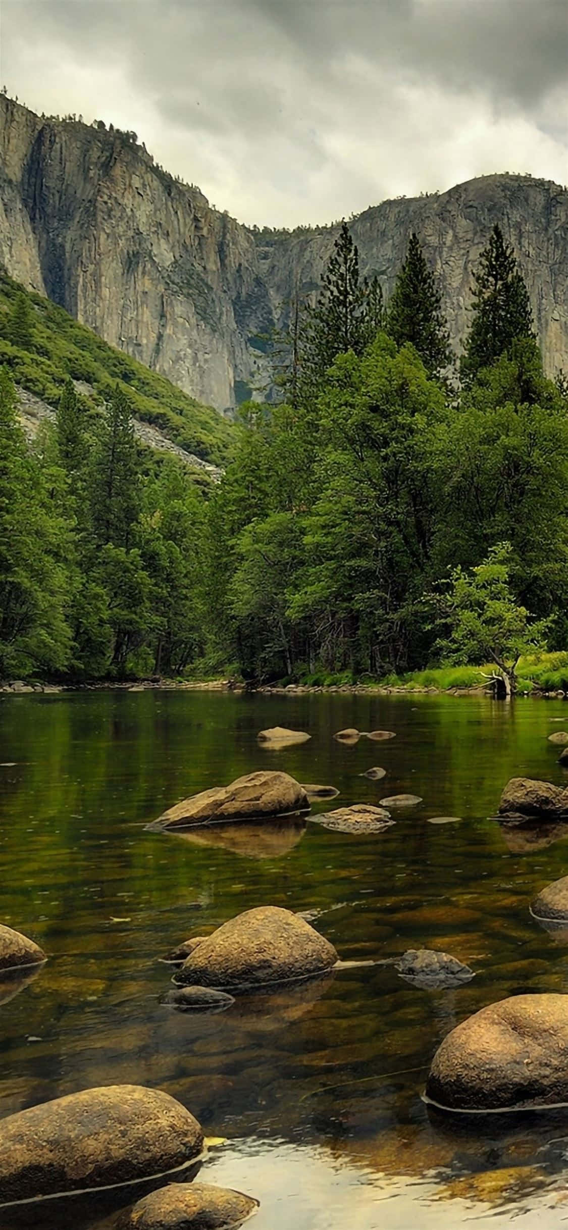 Hermosas imágenes de la naturaleza Fondos de pantalla
