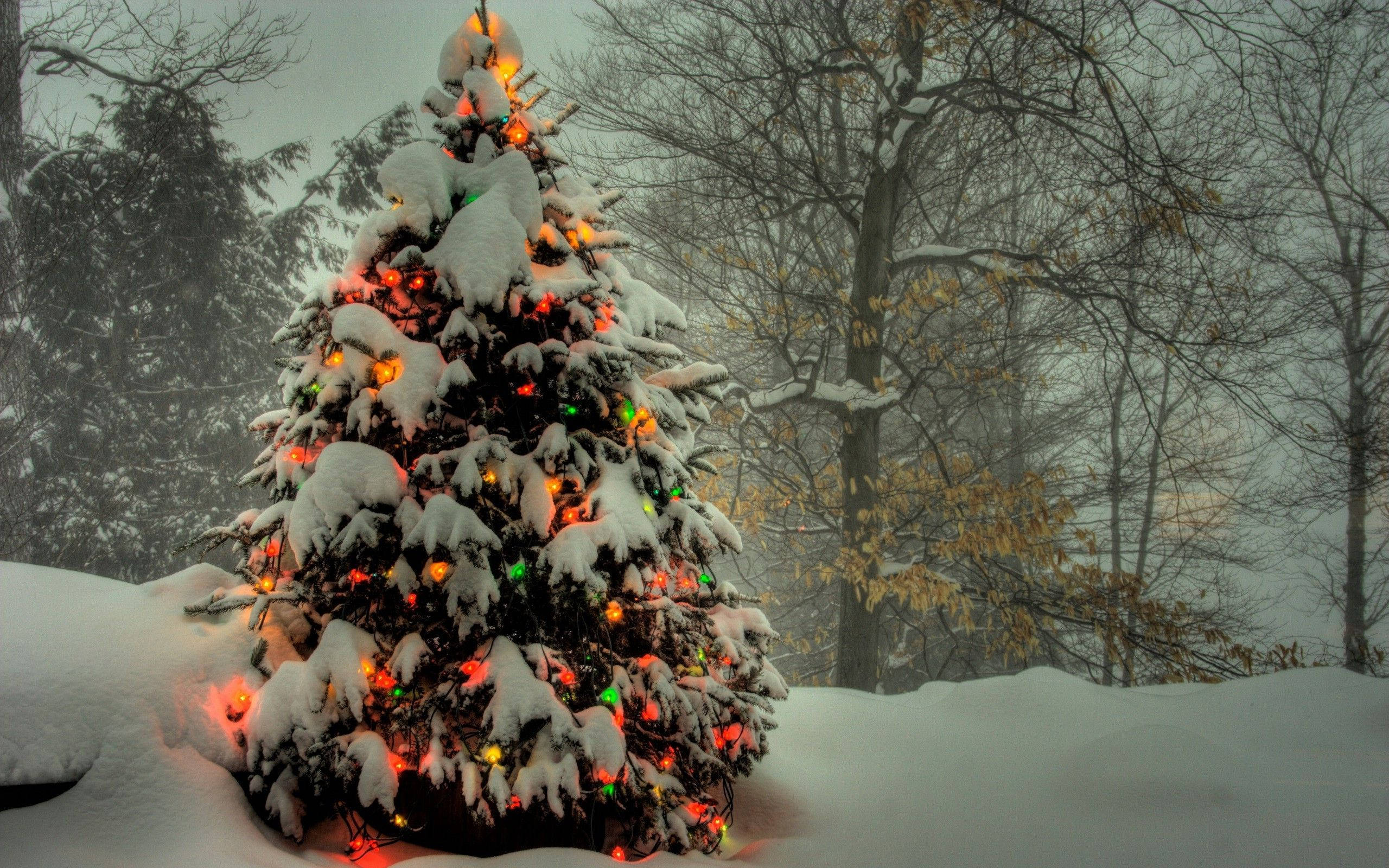 Hermoso árbol de Navidad cubierto de nieve Fondos de pantalla