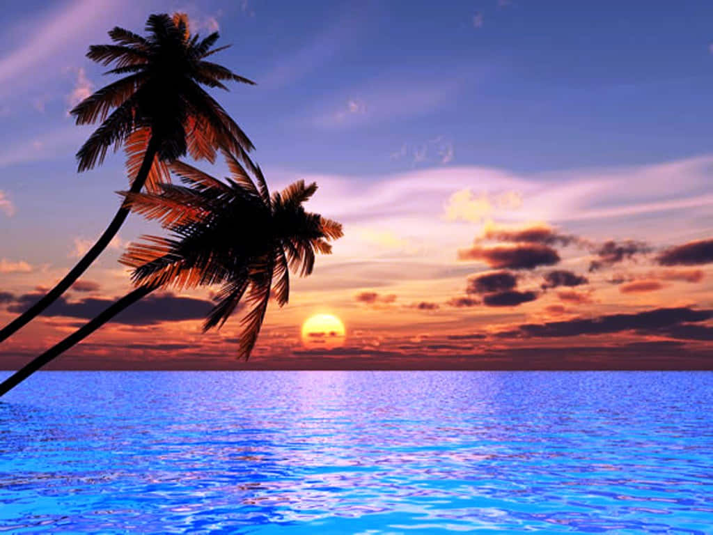 Hermoso atardecer en el mar con palmeras Fondos de pantalla