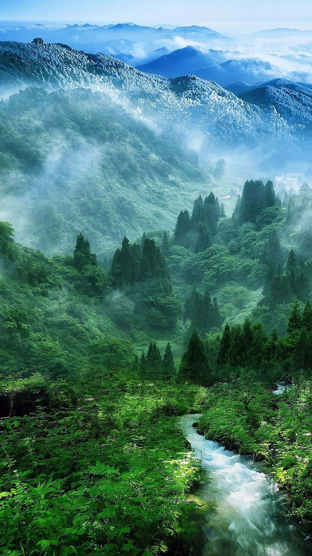 Hermoso Bosque Verde para Naturaleza Android Fondos de pantalla