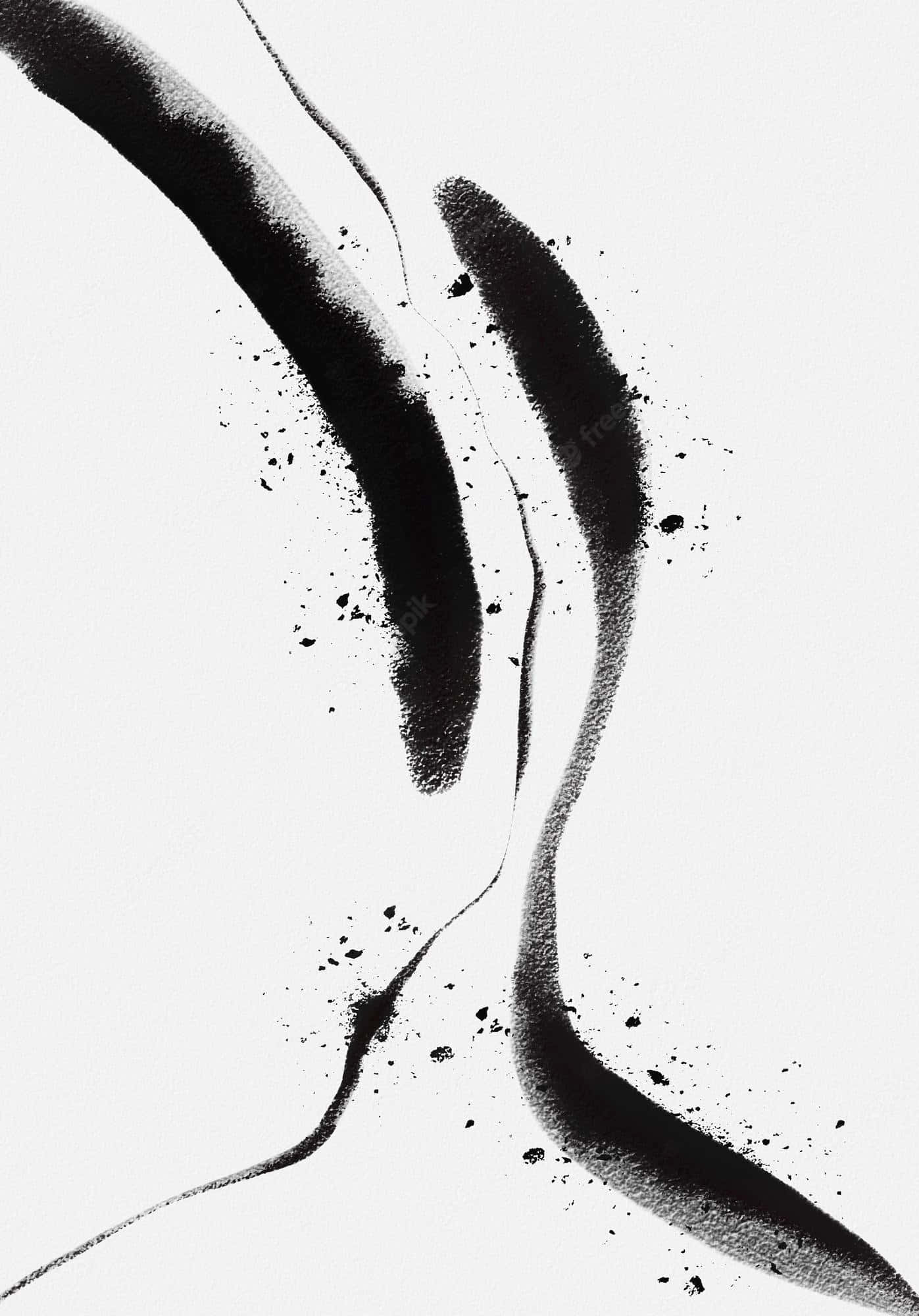 Hermoso Contraste de Blanco y Negro Estético Fondos de pantalla