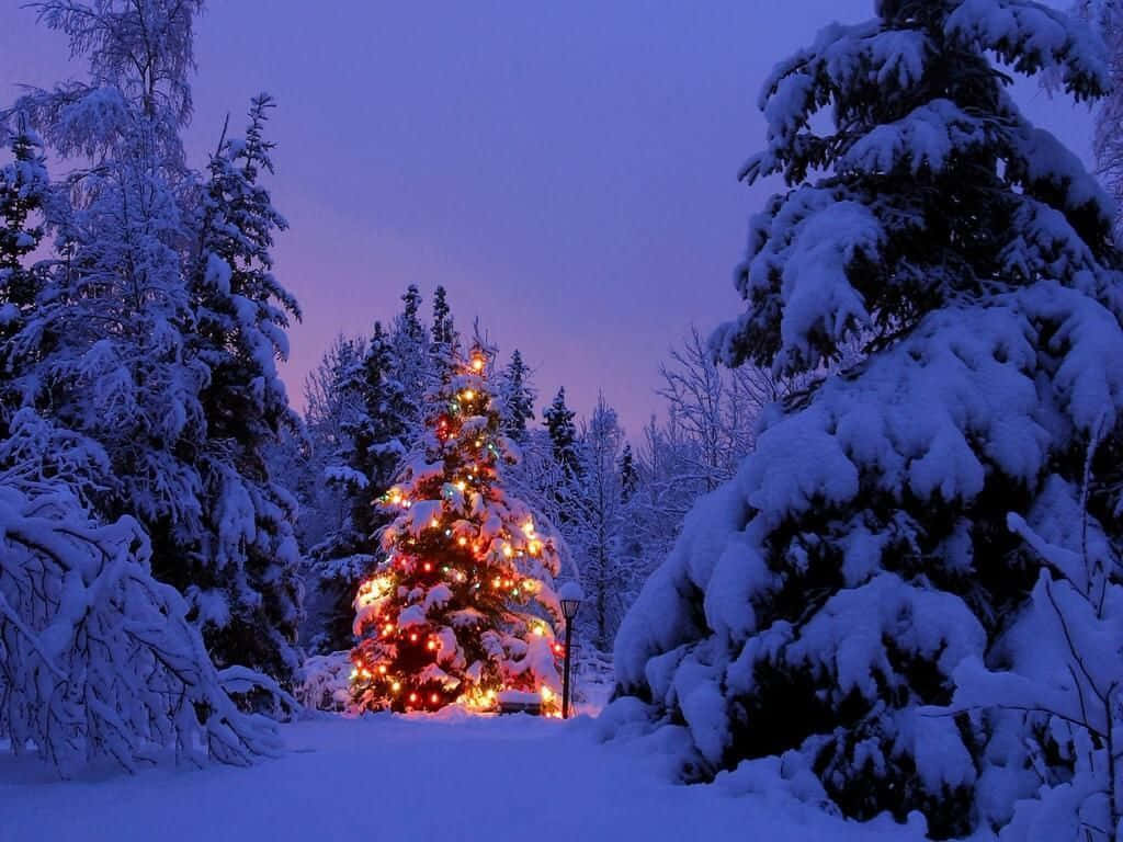 Hermoso Escritorio Navideño de Invierno Fondos de pantalla