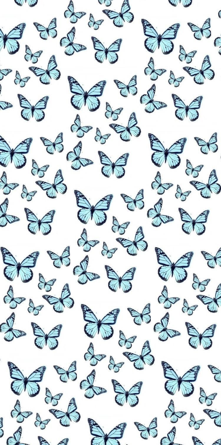 Hermoso fondo de mariposa para tema de iPhone Fondos de pantalla