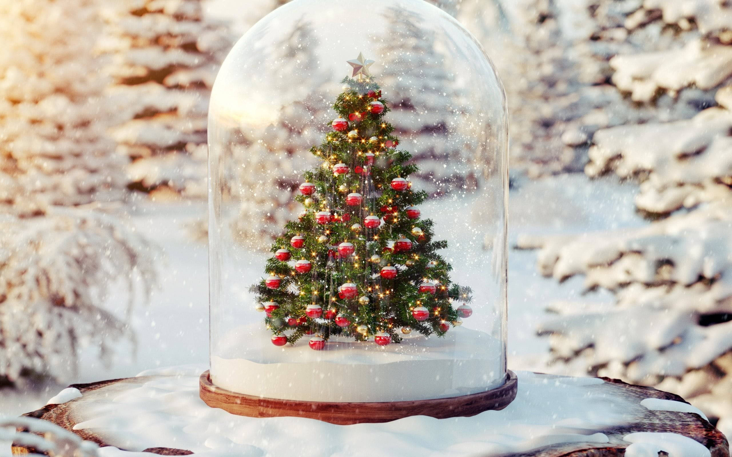 Hermoso Globo de Nieve Navideño Fondos de pantalla