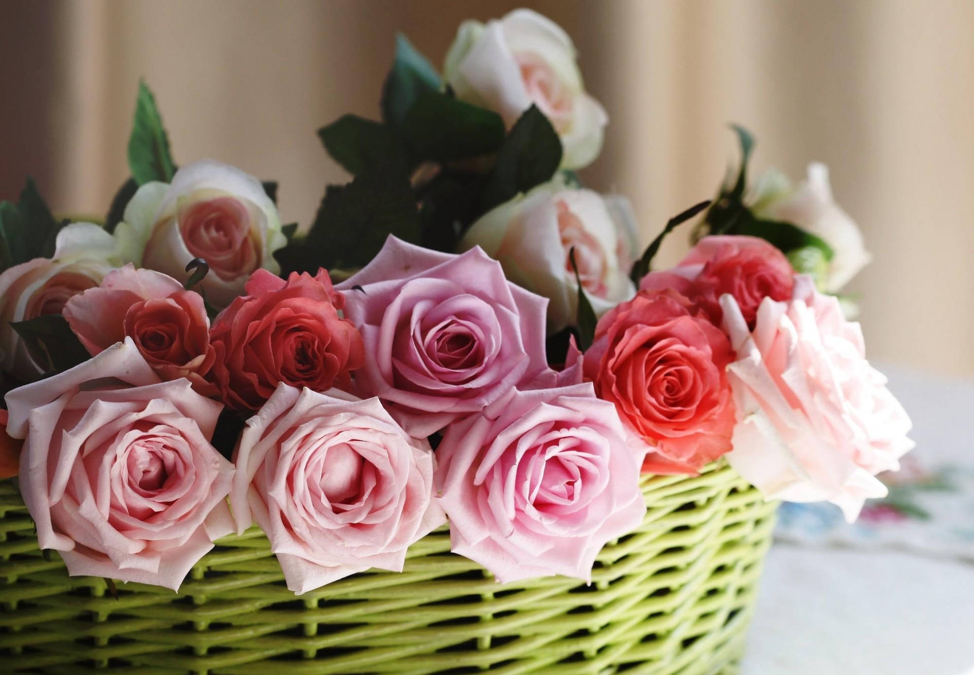 Hermoso ramo de rosas afiladas
