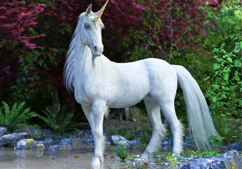 Hermoso Unicornio Descansando en un Estanque Fondos de pantalla