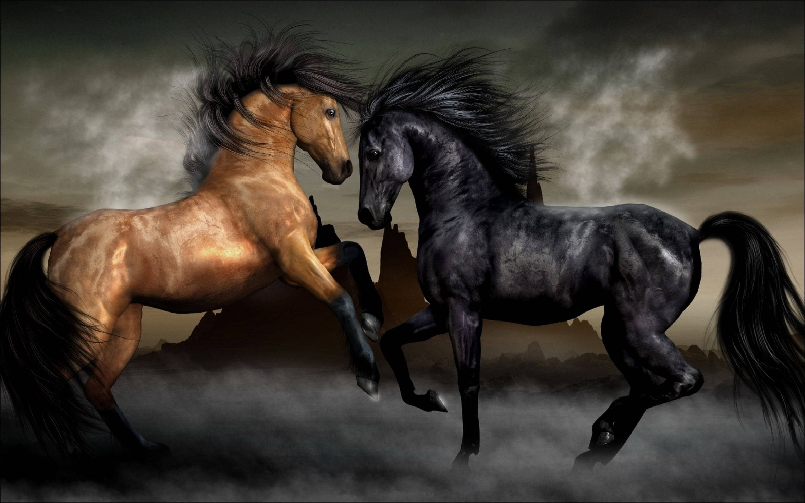 Hermosos Caballos Marrón y Negro Fondos de pantalla