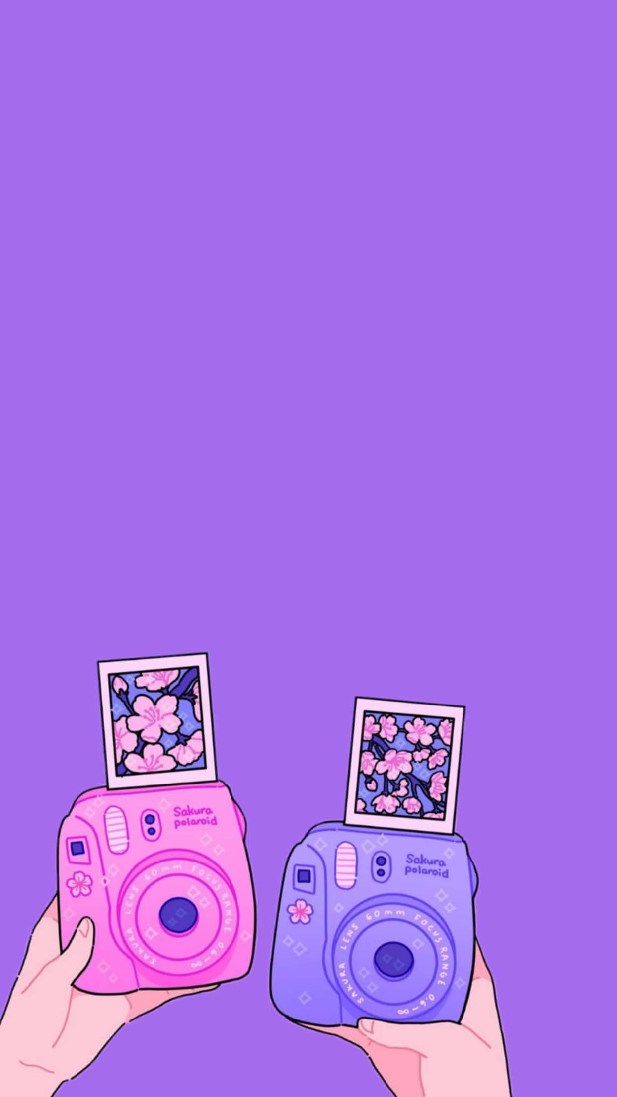 Hermosos tonos de fondo morado. Fondos de pantalla