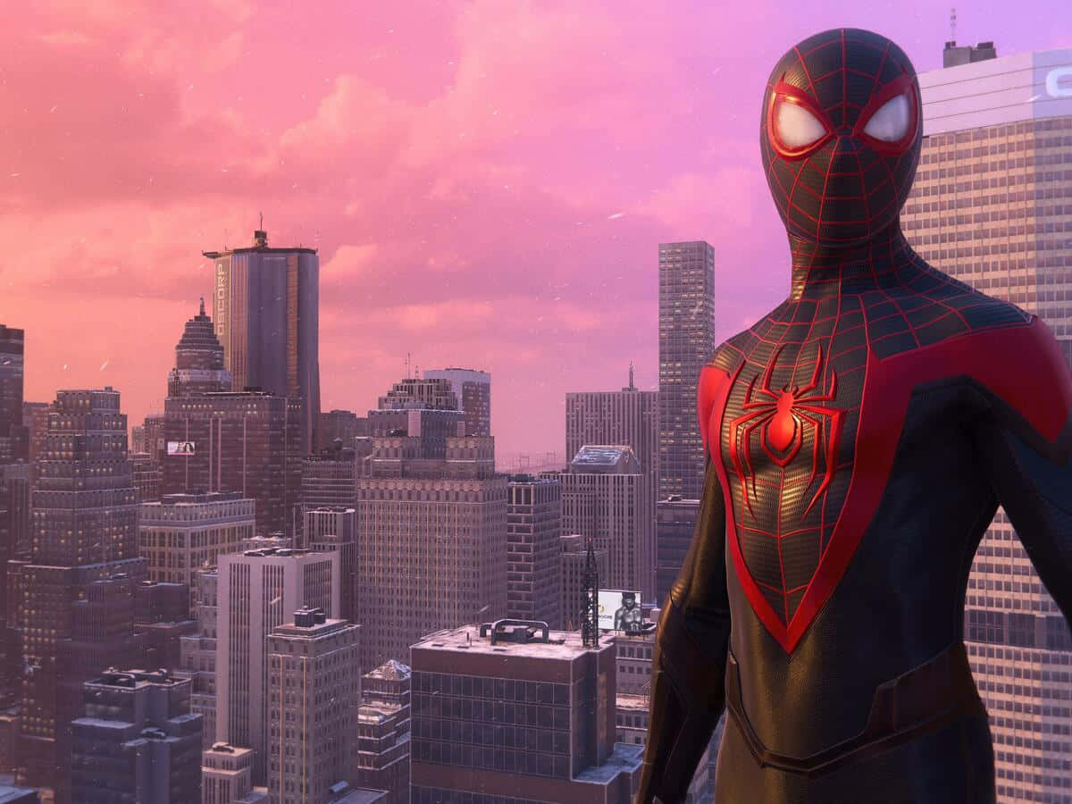 Héroe Telaraña: Spiderman Fondos de pantalla
