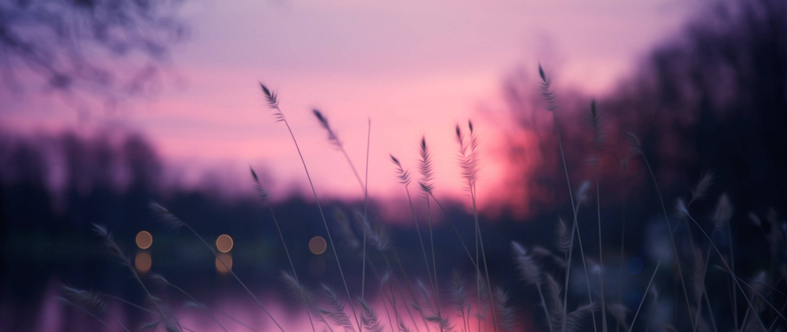 Hierba Bajo el Cielo del Atardecer Pinterest Laptop Fondos de pantalla