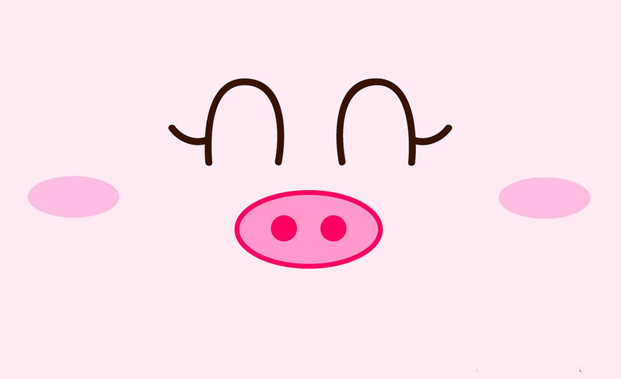 Hocico de Cerdo Lindo Fondos de pantalla