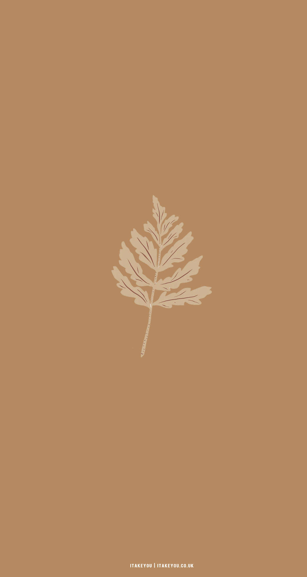 Hoja de arce estética en tono beige marrón Fondos de pantalla