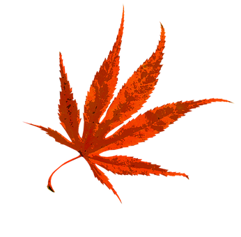 Hoja de arce vibrante de otoño Fondos de pantalla