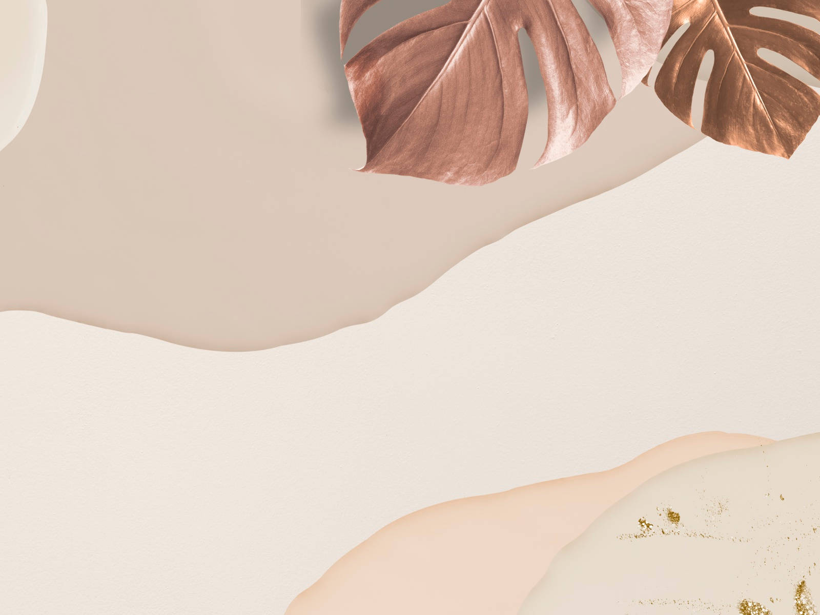 Hojas de Monstera sobre Fondo Beige Fondos de pantalla