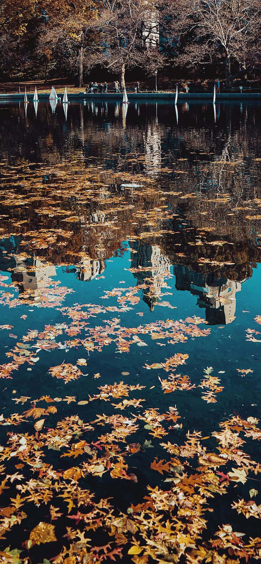 hojas de otoño reflejadas en un lago Fondos de pantalla