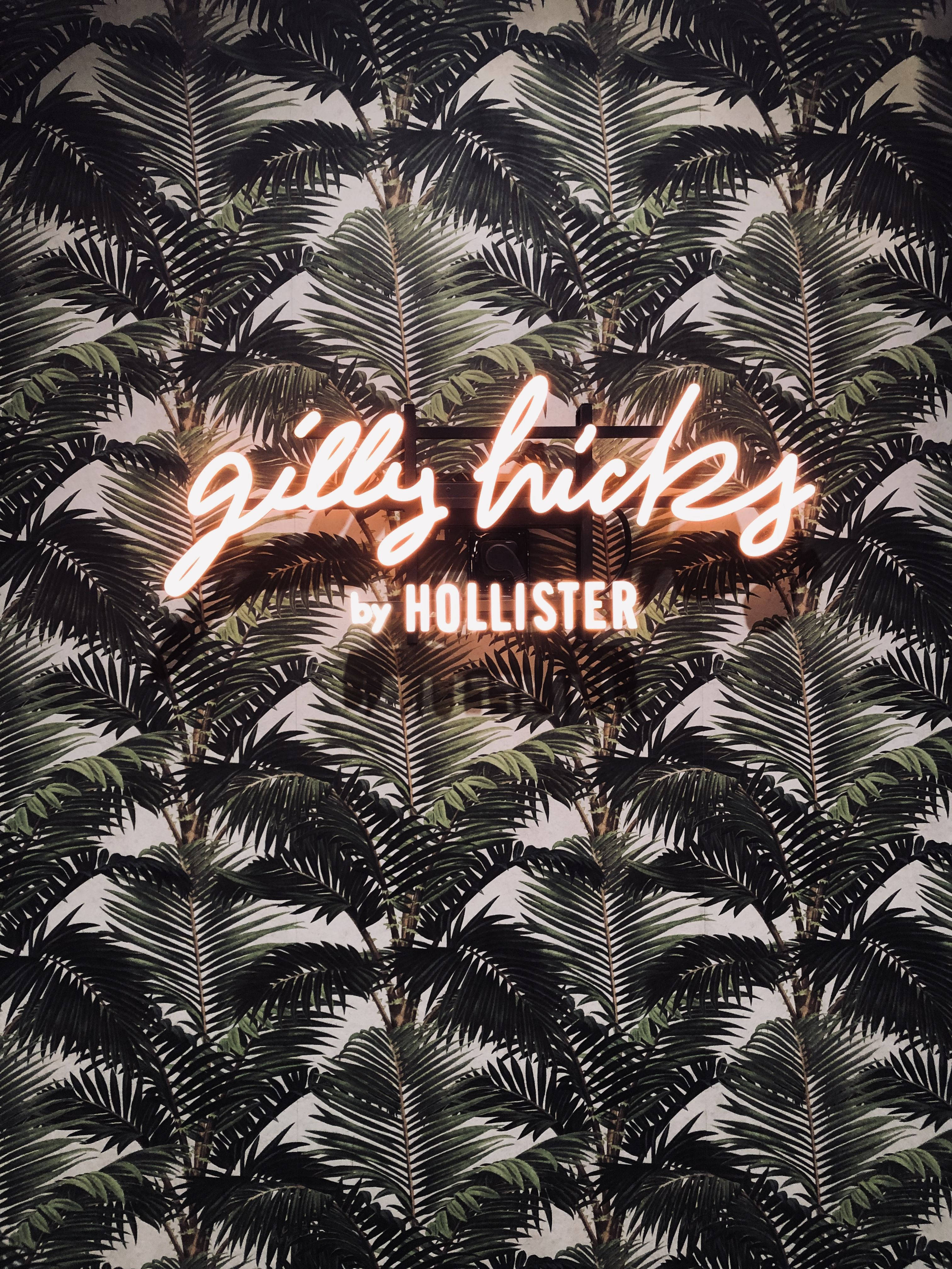 Hojas de palmera Hollister Fondos de pantalla