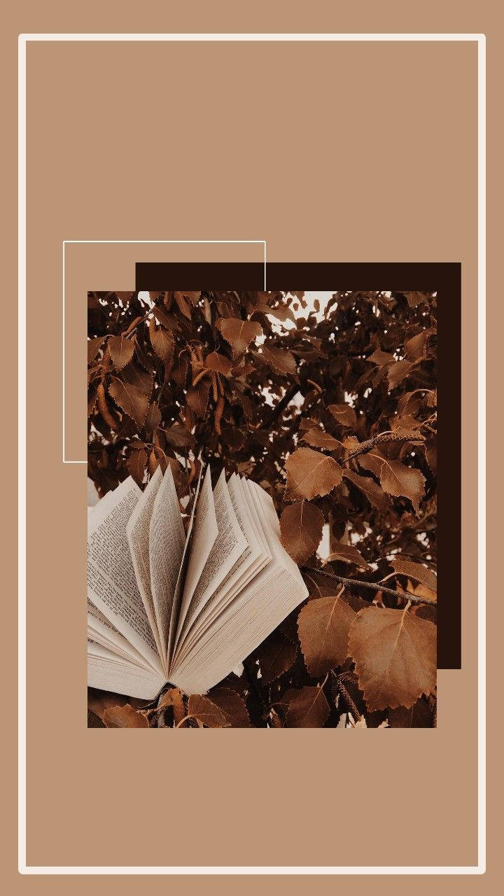 Hojas marrones estéticas y un libro Fondos de pantalla