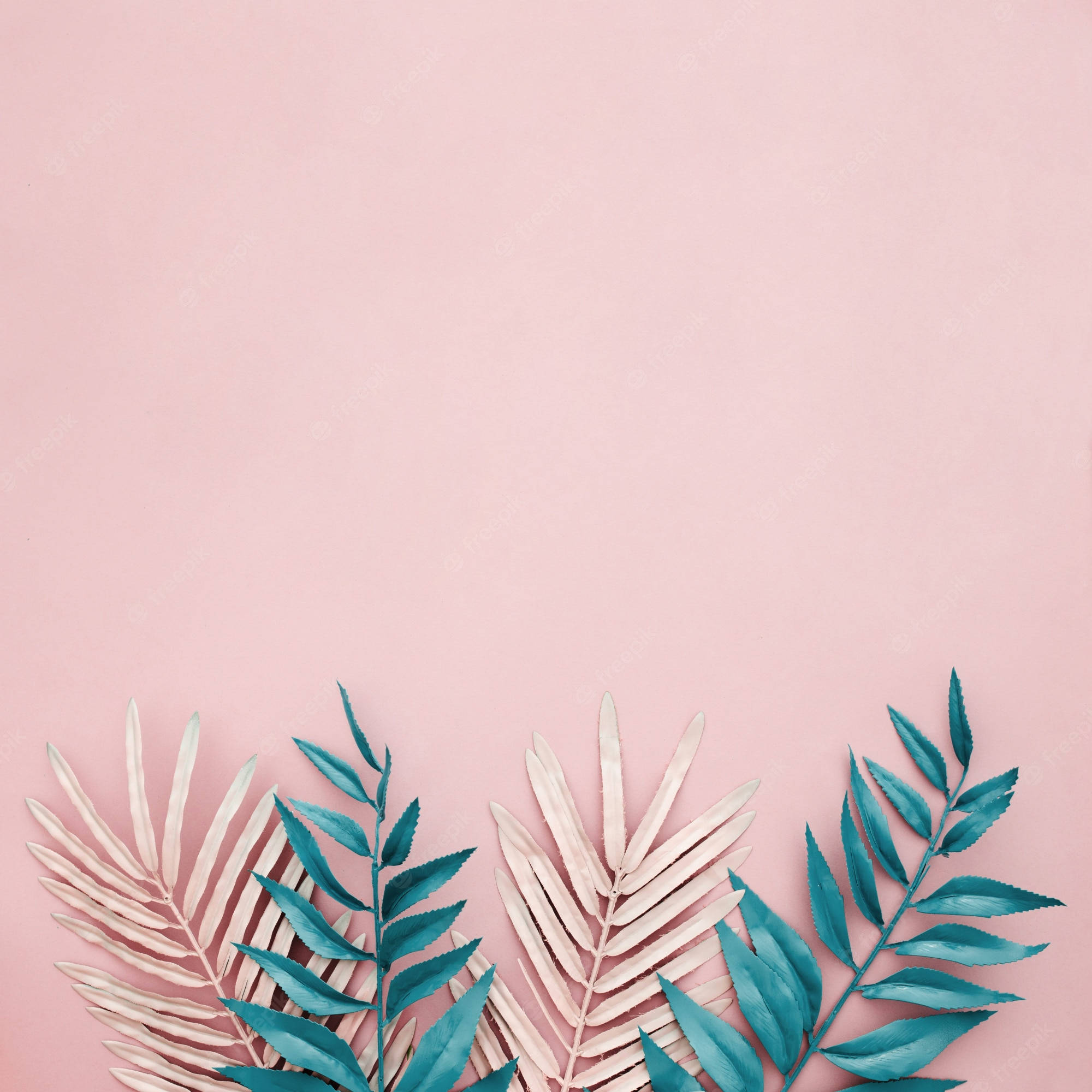 Hojas Tropicales Sobre Fondo Rosa Pastel Fondos de pantalla