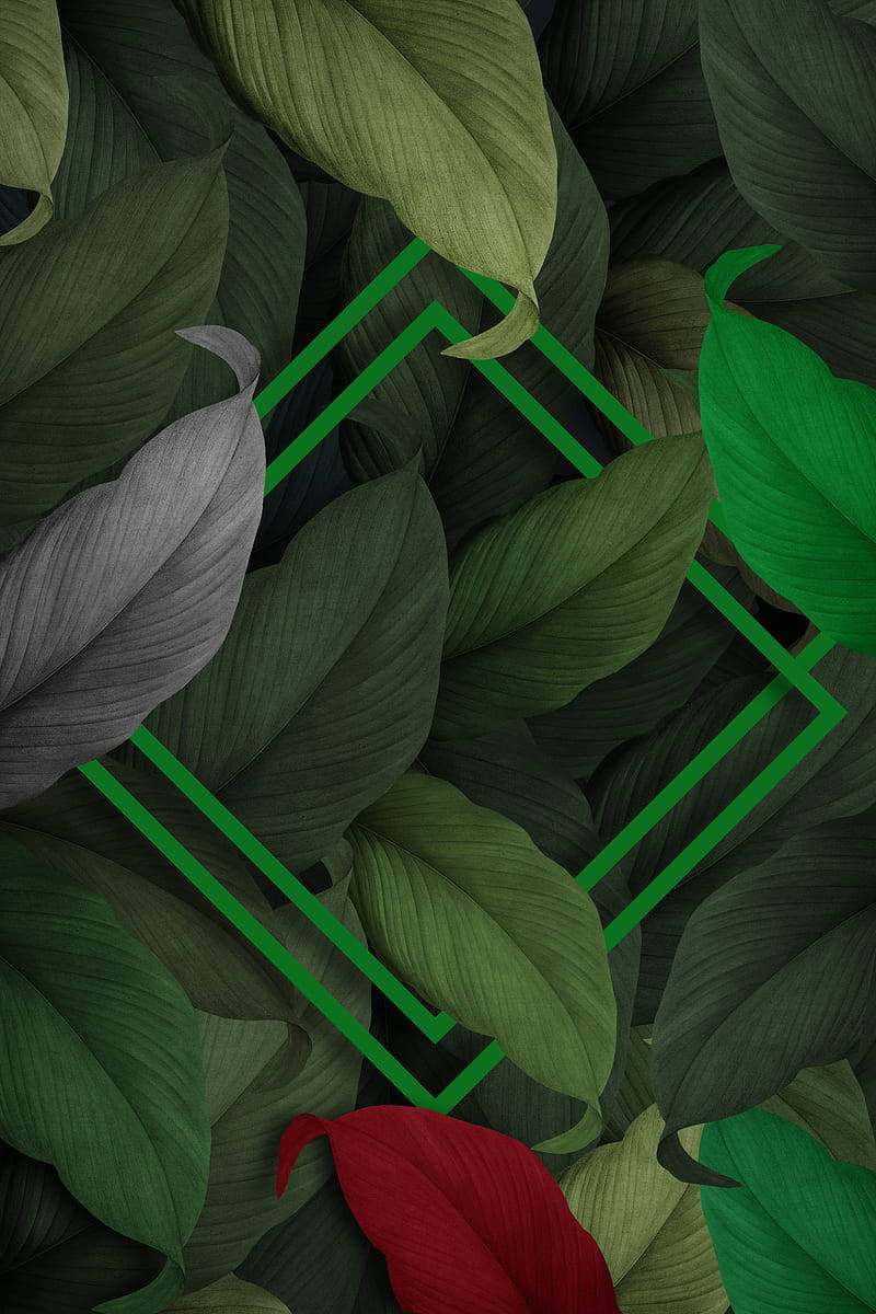 Hojas Verdes 3D Fondos de pantalla