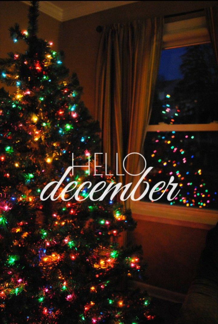 Hola Diciembre Gran Árbol de Navidad Fondos de pantalla