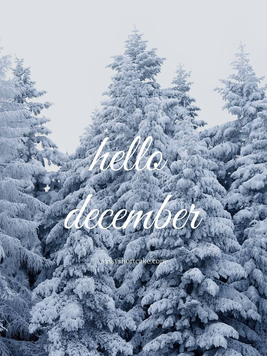Hola Diciembre Hermosos Árboles Nevados Fondos de pantalla