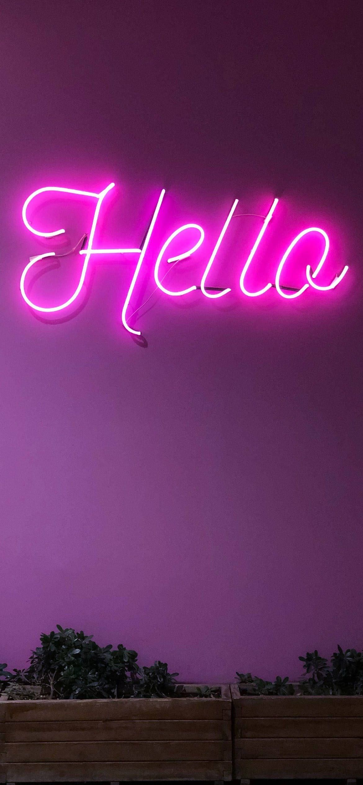 Hola en neón con estética púrpura claro Fondos de pantalla
