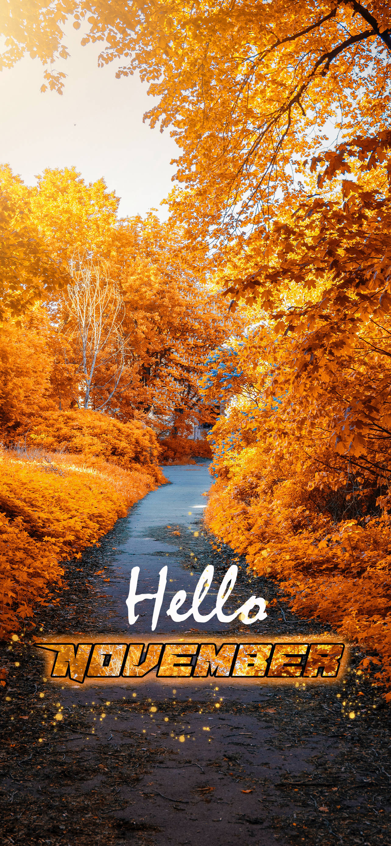Hola Noviembre Camino Amarillo del Jardín Fondos de pantalla