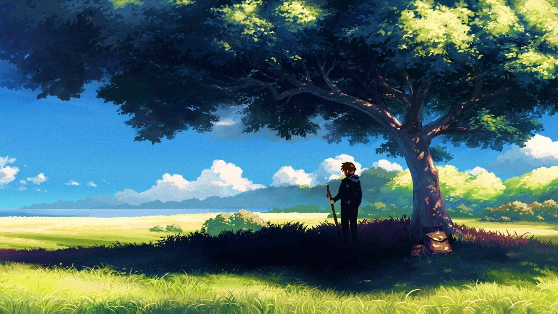 Hombre bajo un árbol en paisaje anime Fondos de pantalla